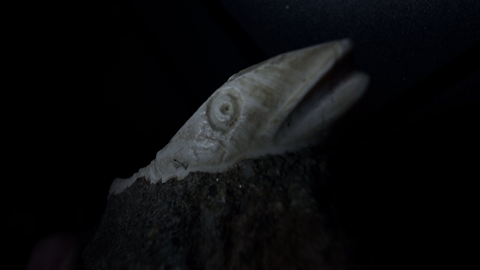 Reddit position 9 side view of the pointed pale end