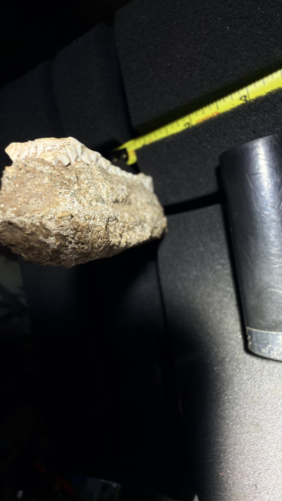 Reddit position 14 scale view showing the matrix and pale edge