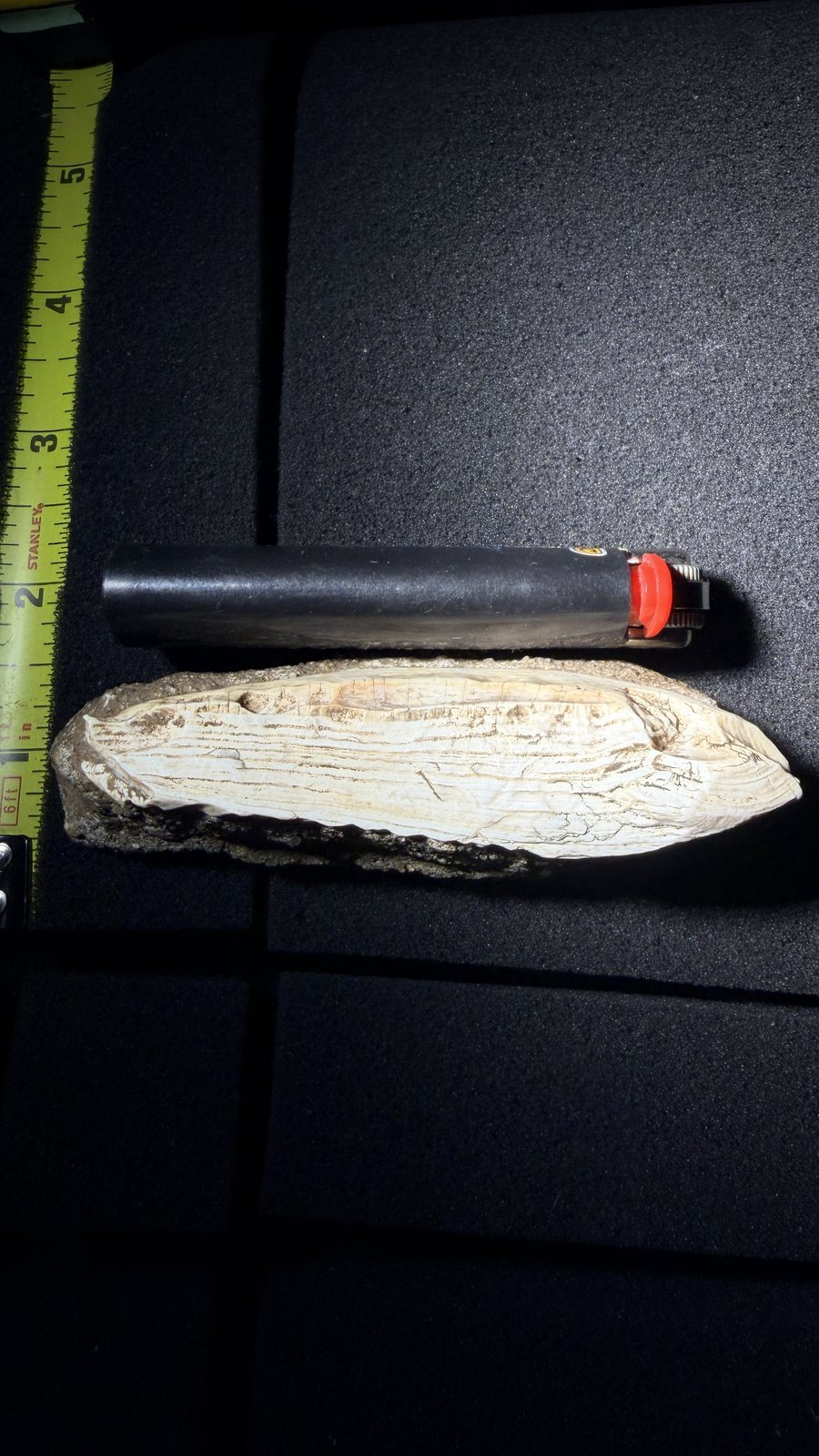 Reddit position 16 reverse scale view of the pale layers