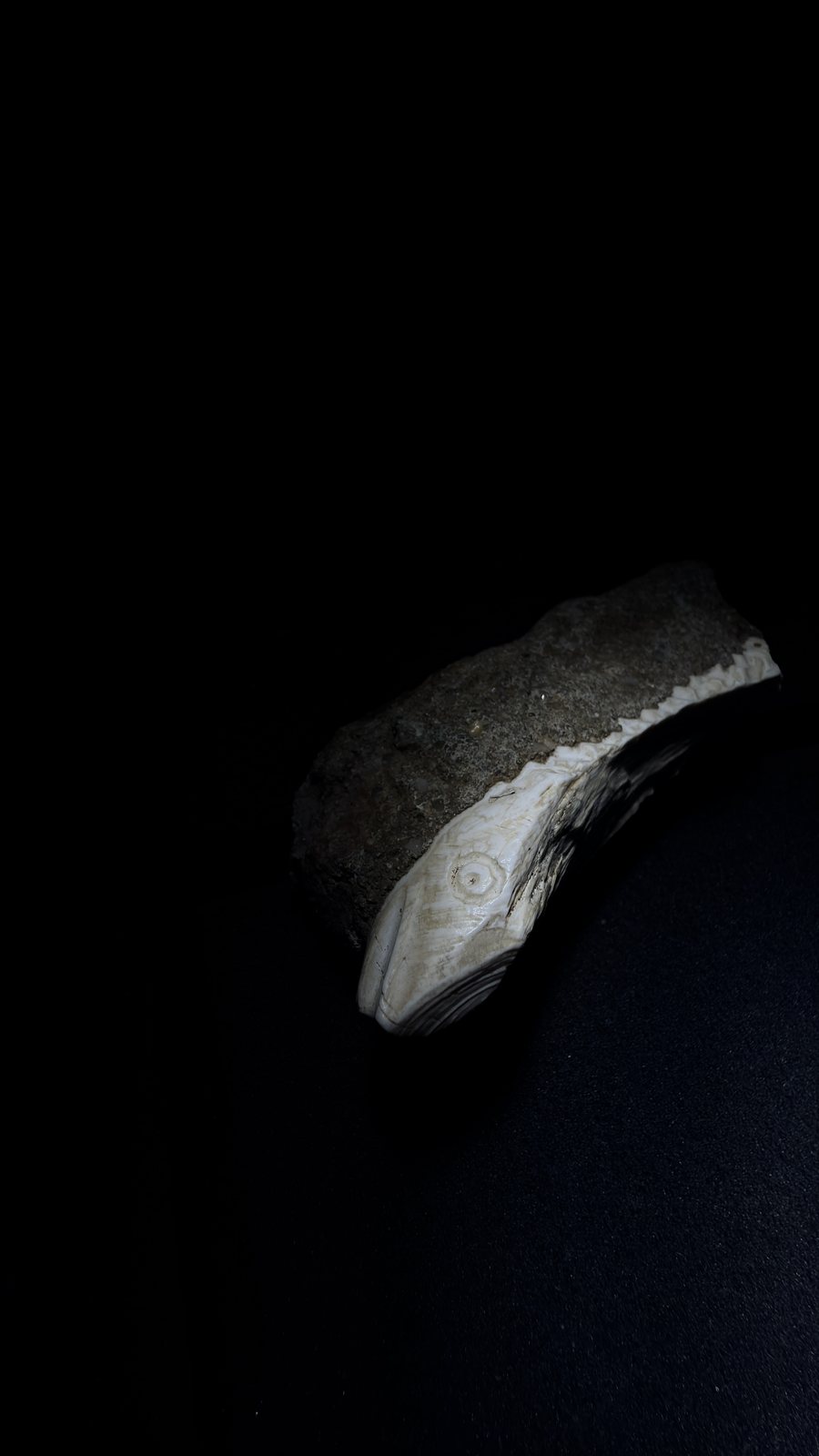 Reddit position 18 low-light alternate view of the pale edge