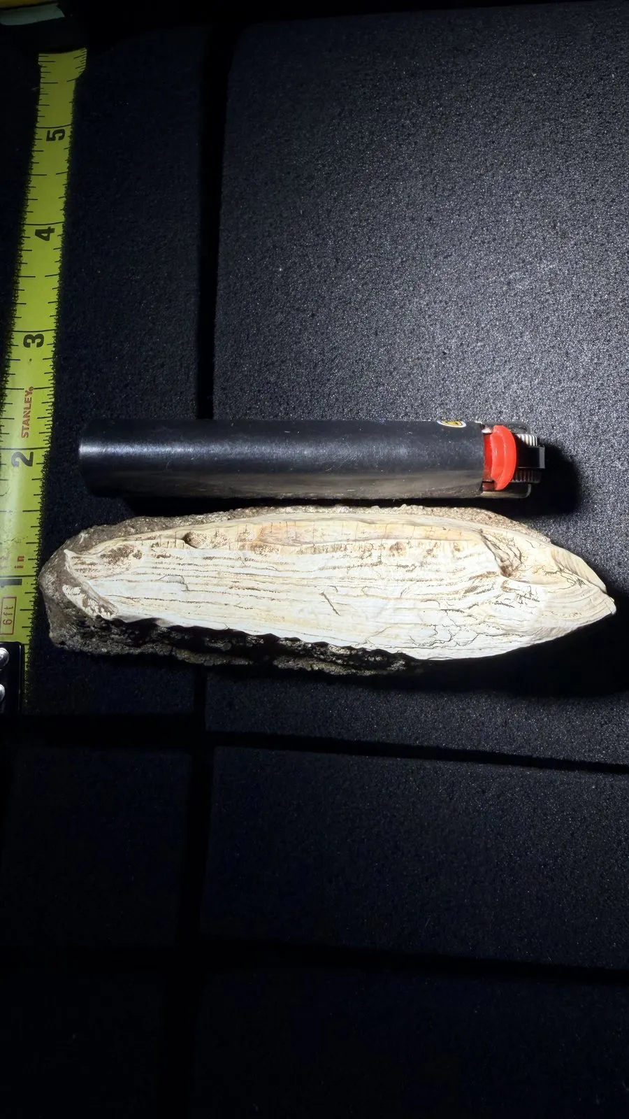 Reddit position 16 reverse scale view of the pale layers