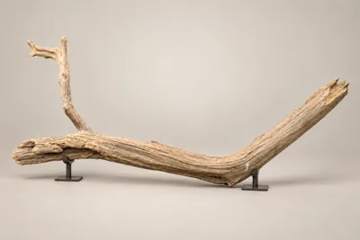 Approx. Five-Foot Driftwood Display Piece