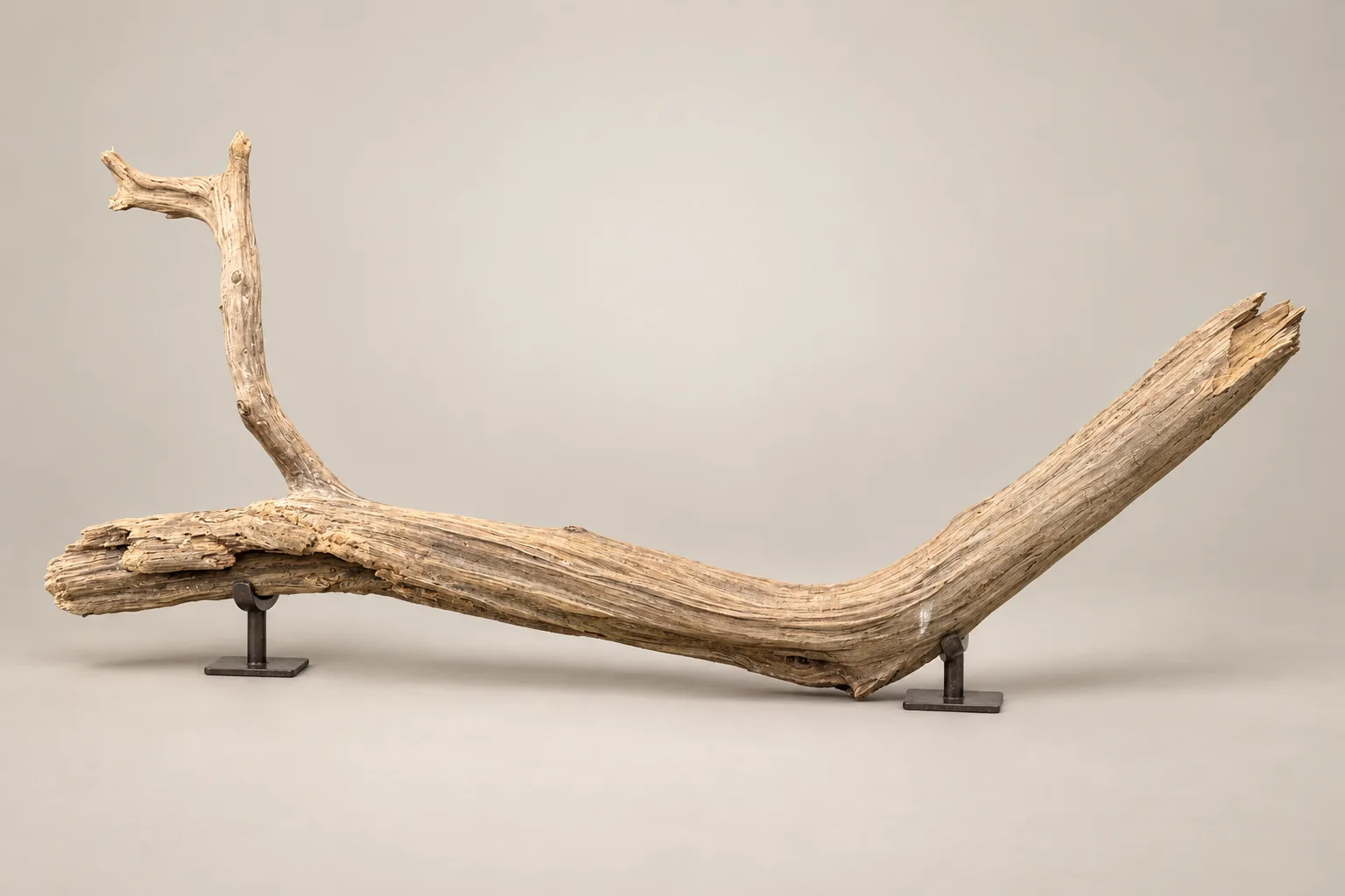 Approx. Five-Foot Driftwood Display Piece — product photograph