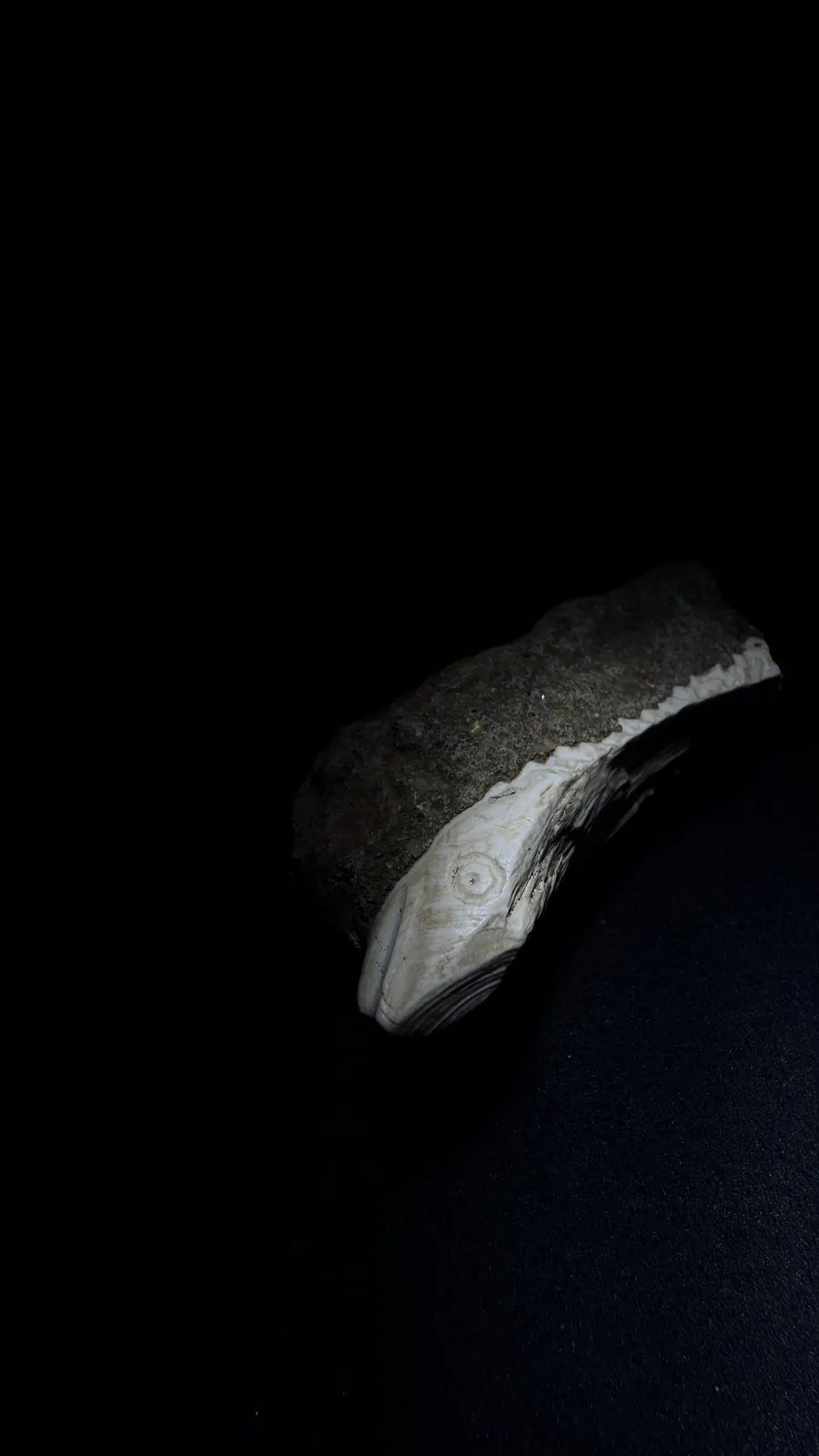 Reddit position 18 low-light alternate view of the pale edge