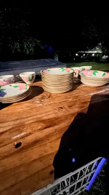 Vintage Hand-Painted El Rancho Dinnerware Set · $225 — view 4